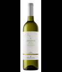 TORRES Celeste Verdejo